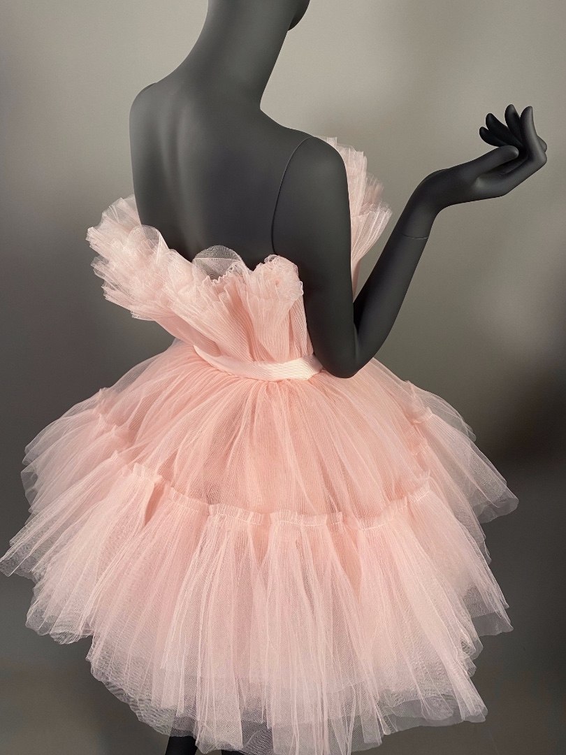 Розовое платье из тюля Giambattista Valli H&M